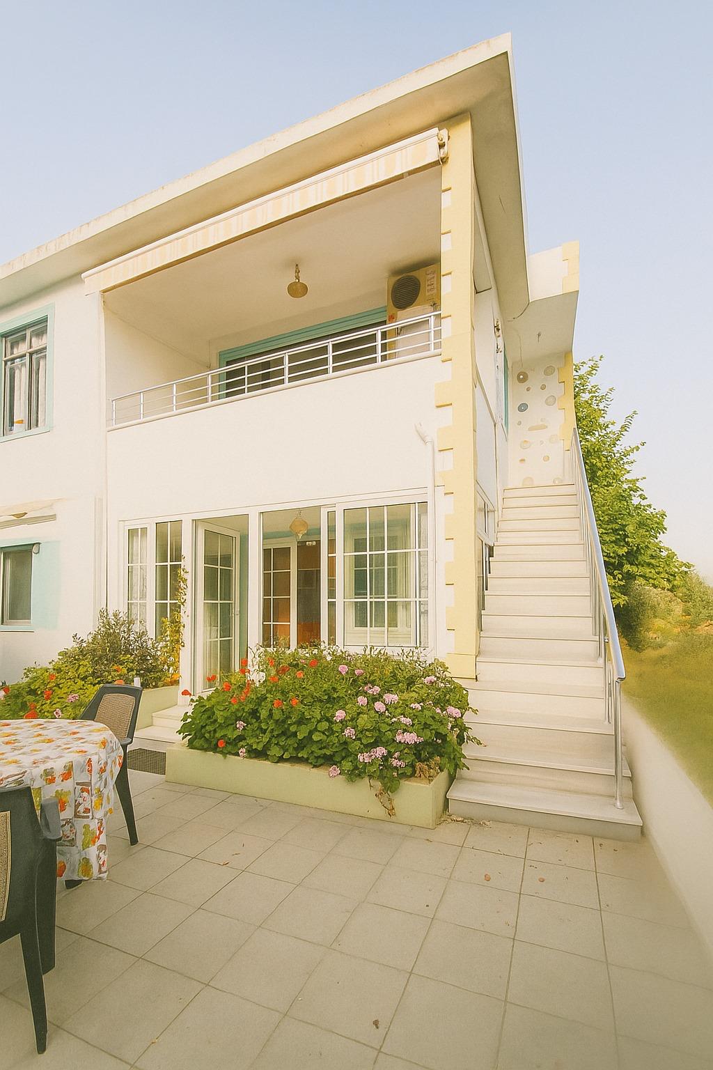 Pet Dostu Oda Görsel 1